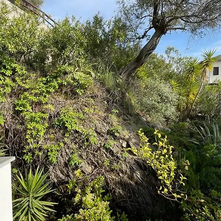 Iris Sea View * Áfissos